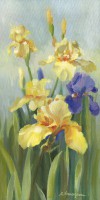 /album/sylvie-vernageau1/iris-jaune-huile-sur-toile-30x50-cm-jpg/